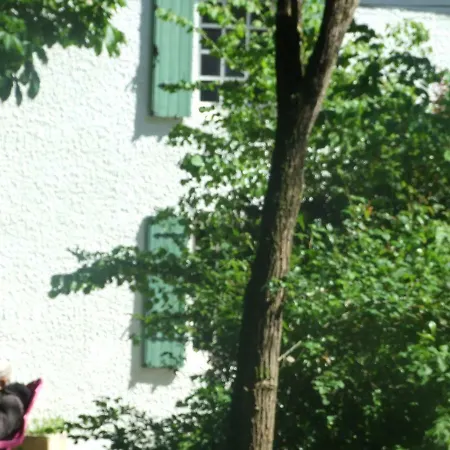 Bed & Breakfast L'auberge De La Foret