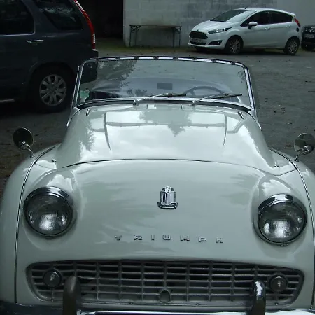 Bed & Breakfast L'auberge De La Foret Mervent