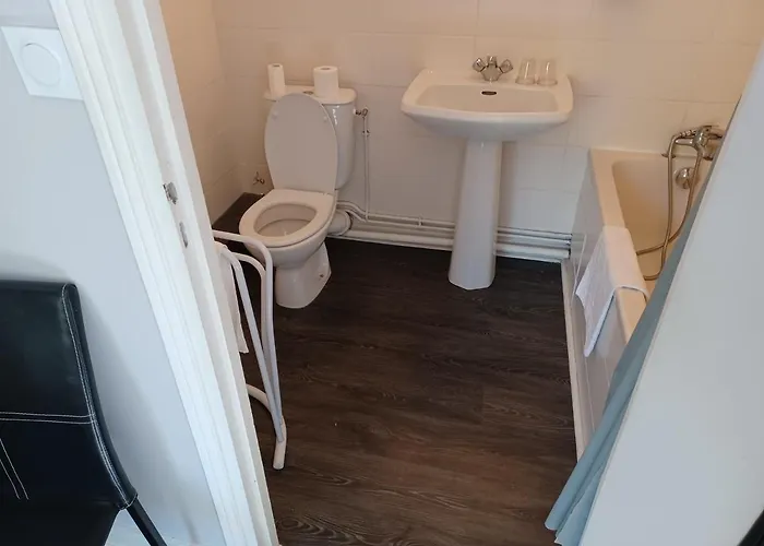 L'auberge De La Foret 3* Mervent