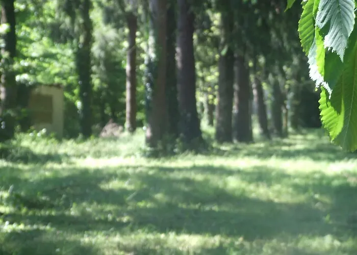 L'auberge De La Foret 3*