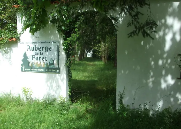 L'auberge De La Foret 3* Mervent